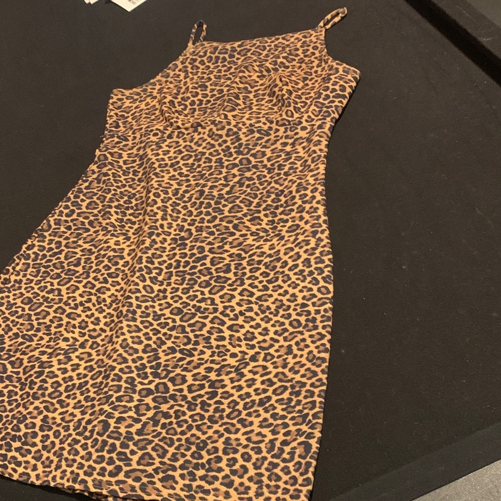 Wild Leopard Print Mini Dress